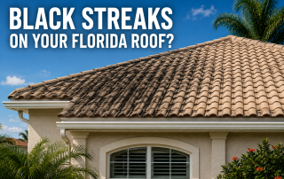 What Causes Black Streaks On My Roof