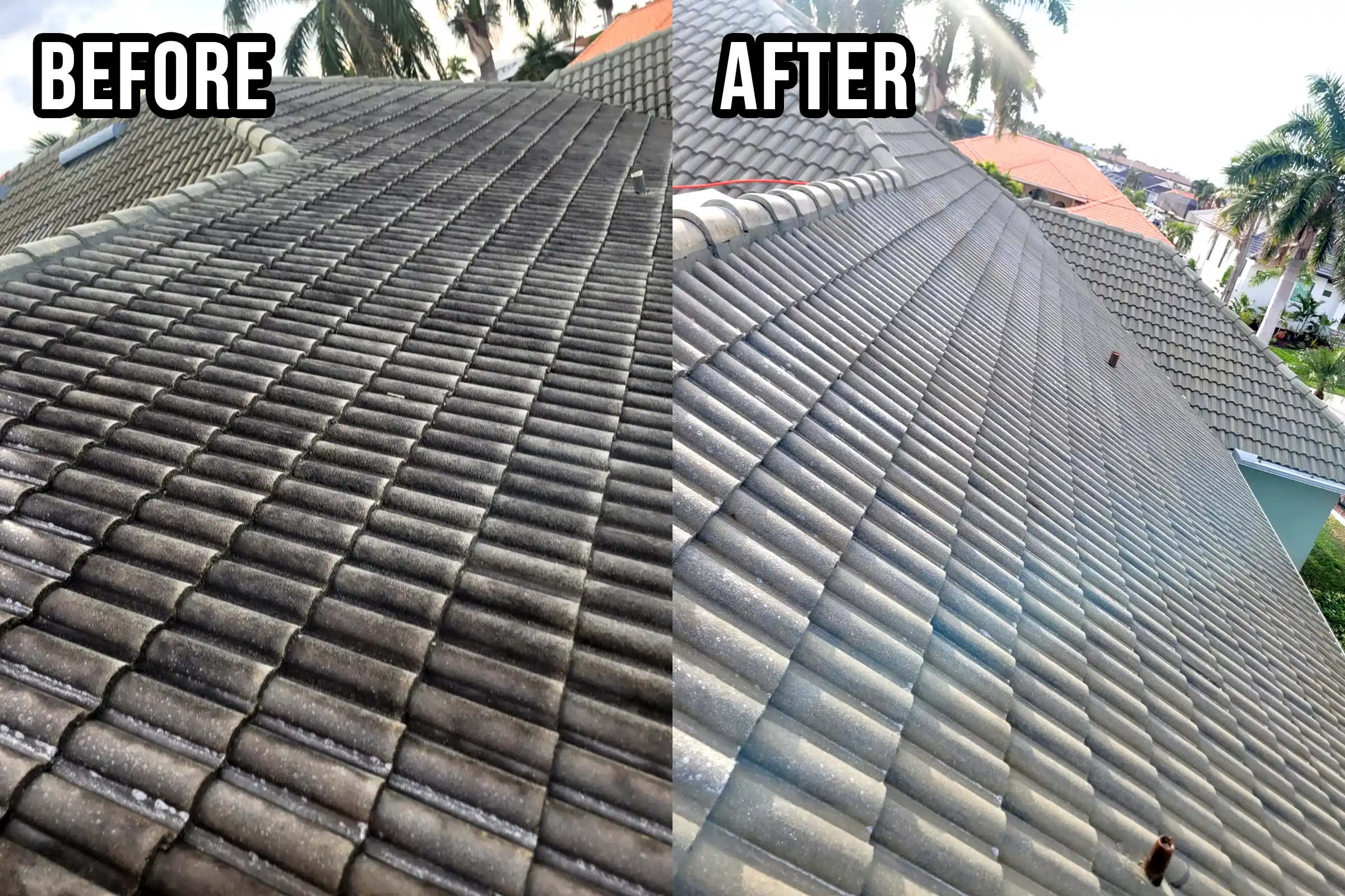Roof Soft Wash Services Near Me Roof Soft Wash Services Near Me